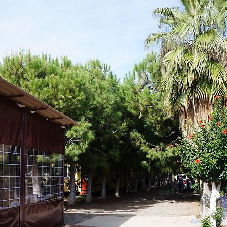 Koru Beach Club Gazipaşa Dış mekan fotoğraf