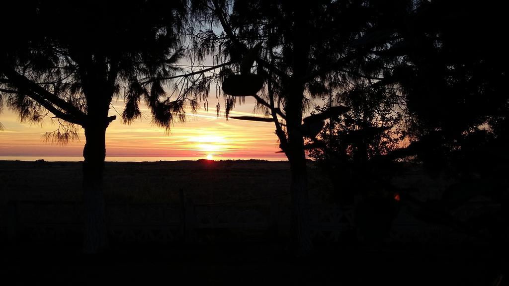 Koru Beach Club Gazipaşa Dış mekan fotoğraf