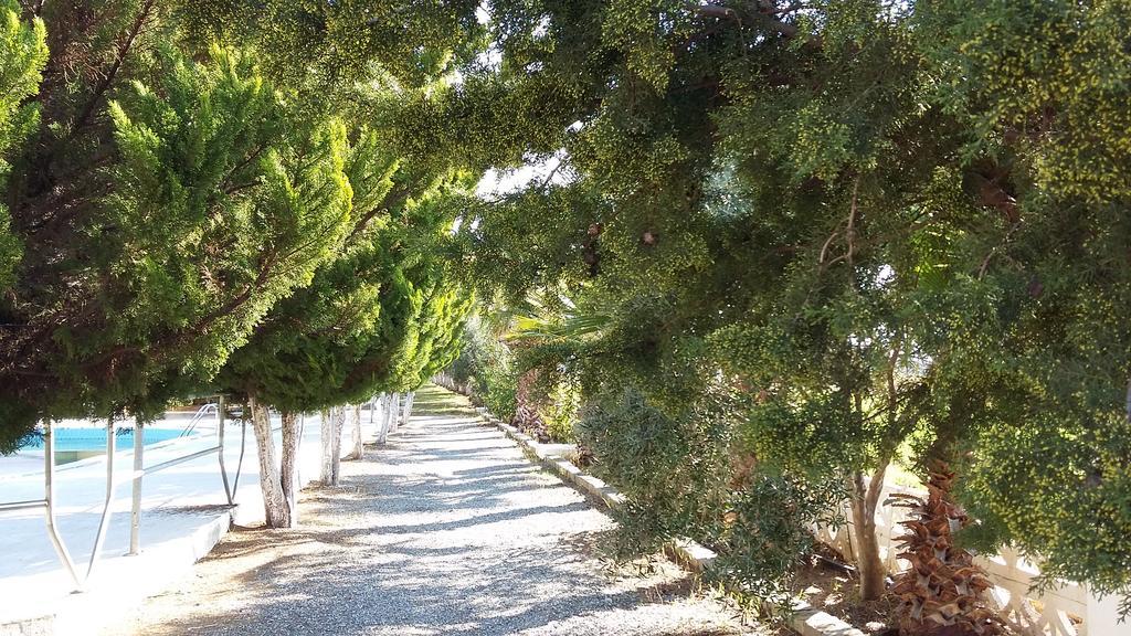 Koru Beach Club Gazipaşa Dış mekan fotoğraf