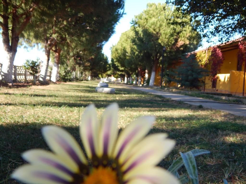 Koru Beach Club Gazipaşa Dış mekan fotoğraf