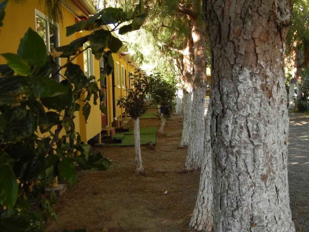 Koru Beach Club Gazipaşa Dış mekan fotoğraf