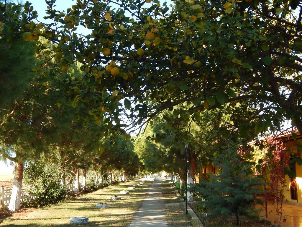 Koru Beach Club Gazipaşa Dış mekan fotoğraf