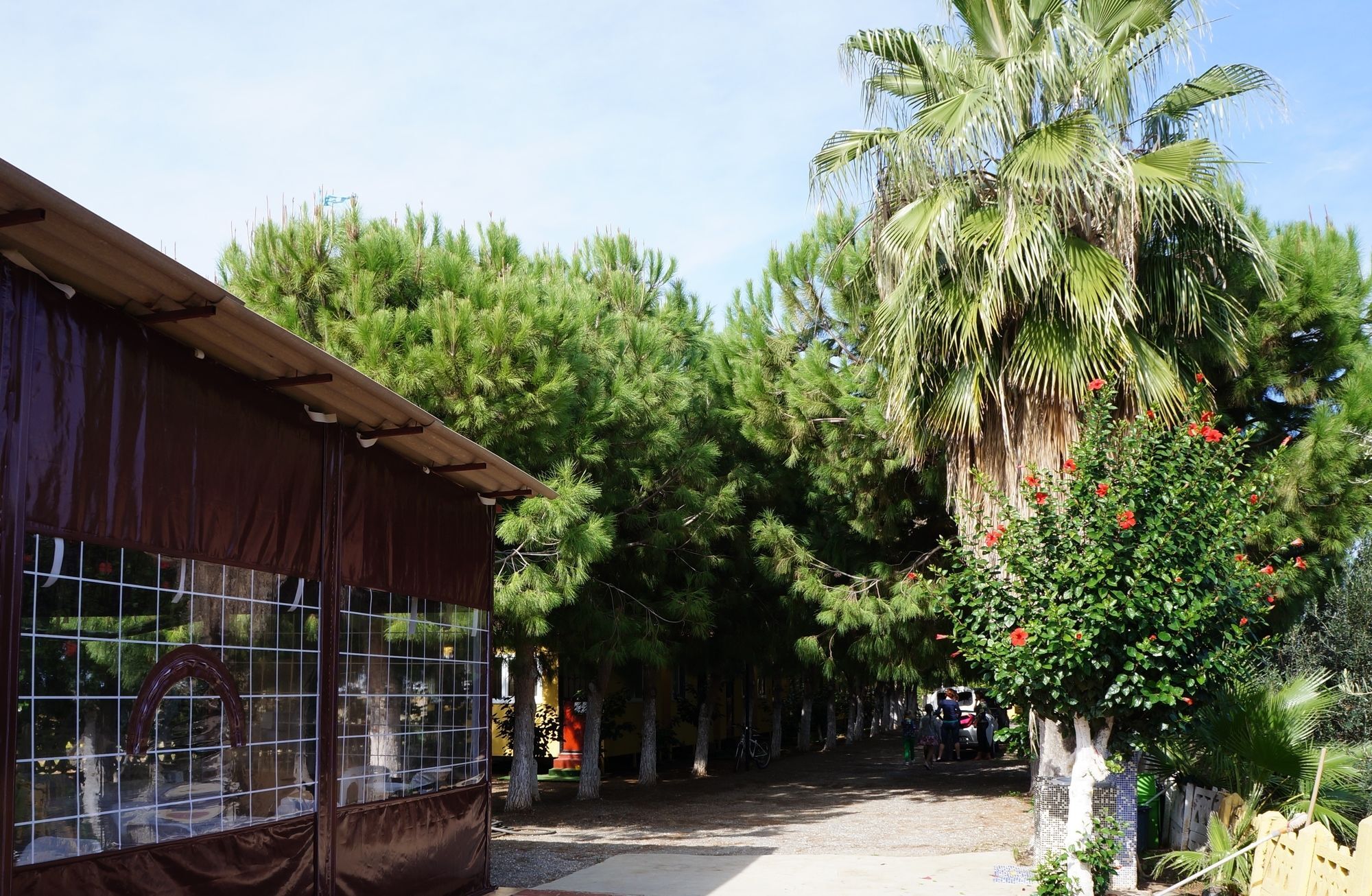 Koru Beach Club Gazipaşa Dış mekan fotoğraf